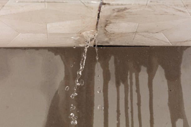 Professional Structural Drying technician working in Pollocksville, NC